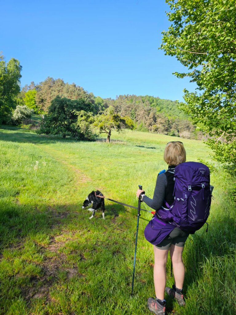 randonnée en pleine nature