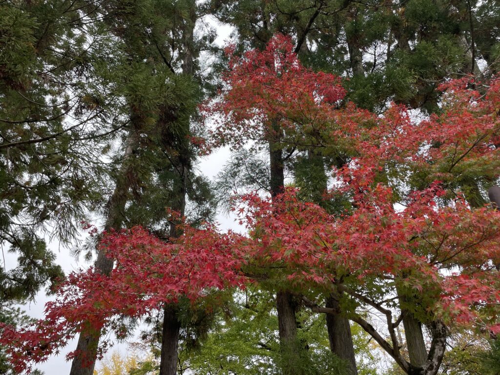 La sérénité de l'automne