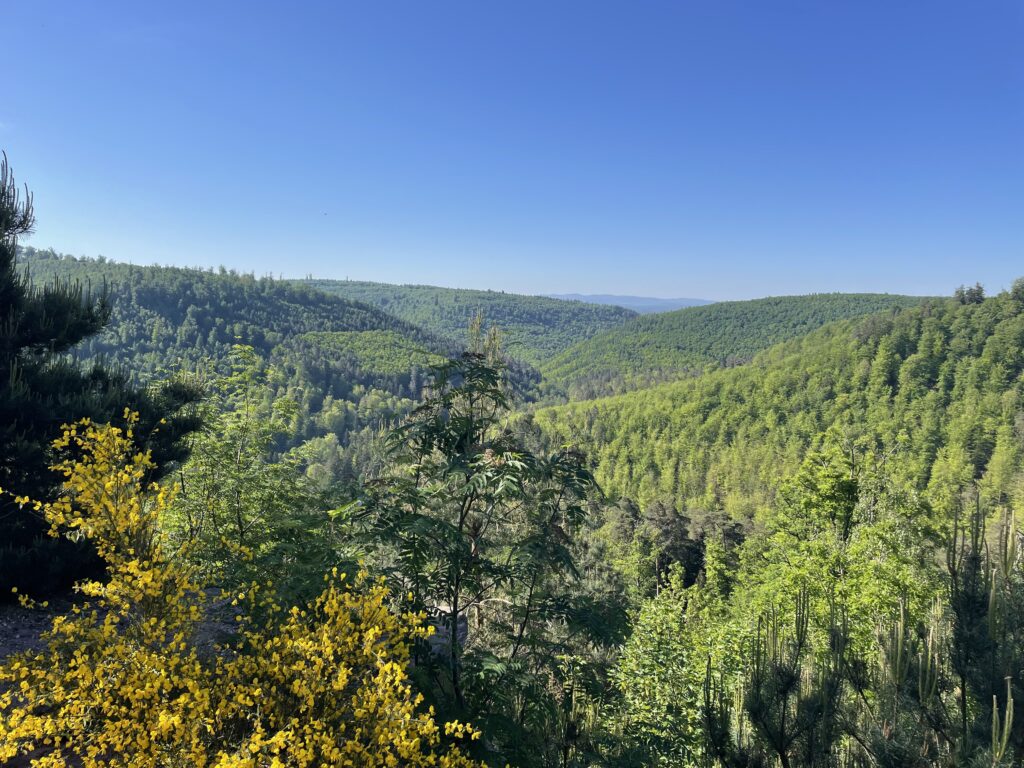 Paysage sur une randonnée