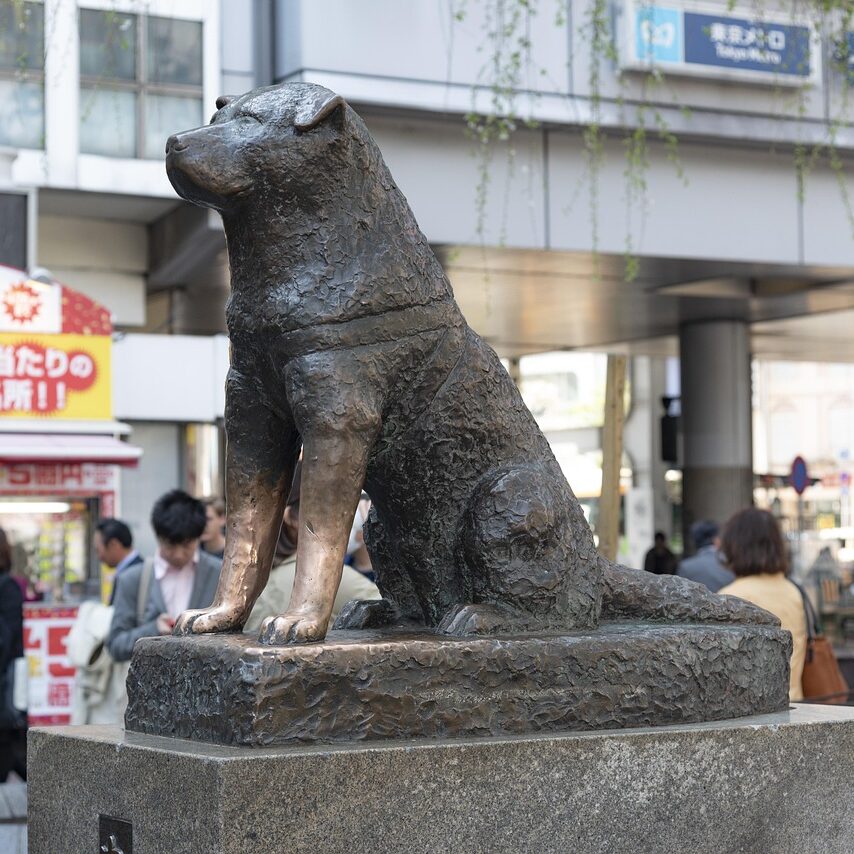 Hachiko, la statue à Shibuya