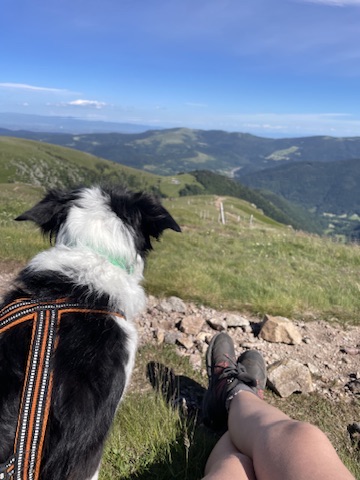 Pause au sommet
